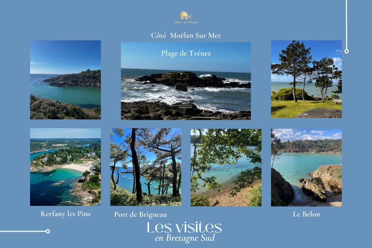 Le Tiguidou, Cosy, Lumineux, 2-6 Pers, Plage 300M Moëlan-sur-Mer Buitenkant foto