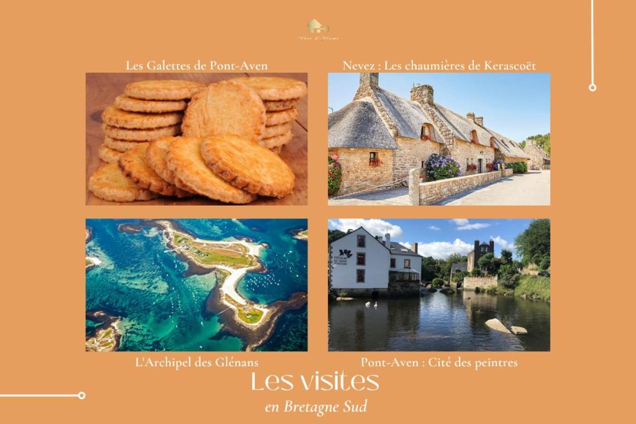 Le Tiguidou, Cosy, Lumineux, 2-6 Pers, Plage 300M Moëlan-sur-Mer Buitenkant foto